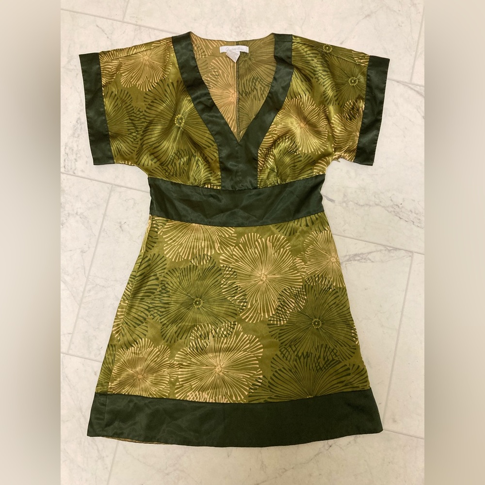 Charlotte Russe Green Floral Dress